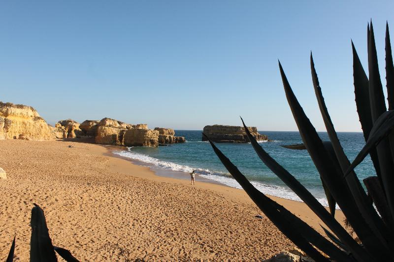 Torre Velha Al Hotell Albufeira Exteriör bild